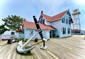 Creature Feature at Ocean City Life-Saving Station Museum