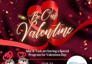 Valentine's at the Museum