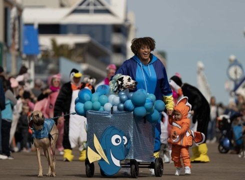 Pets in Disguise: A Sunfest Halloween Pet Celebration