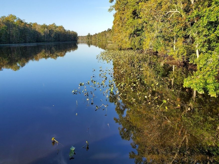 Pocomoke River State Park: Milburn Landing