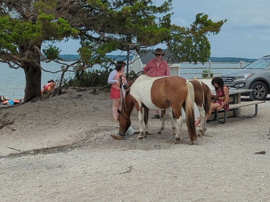 Assateague Outfitters