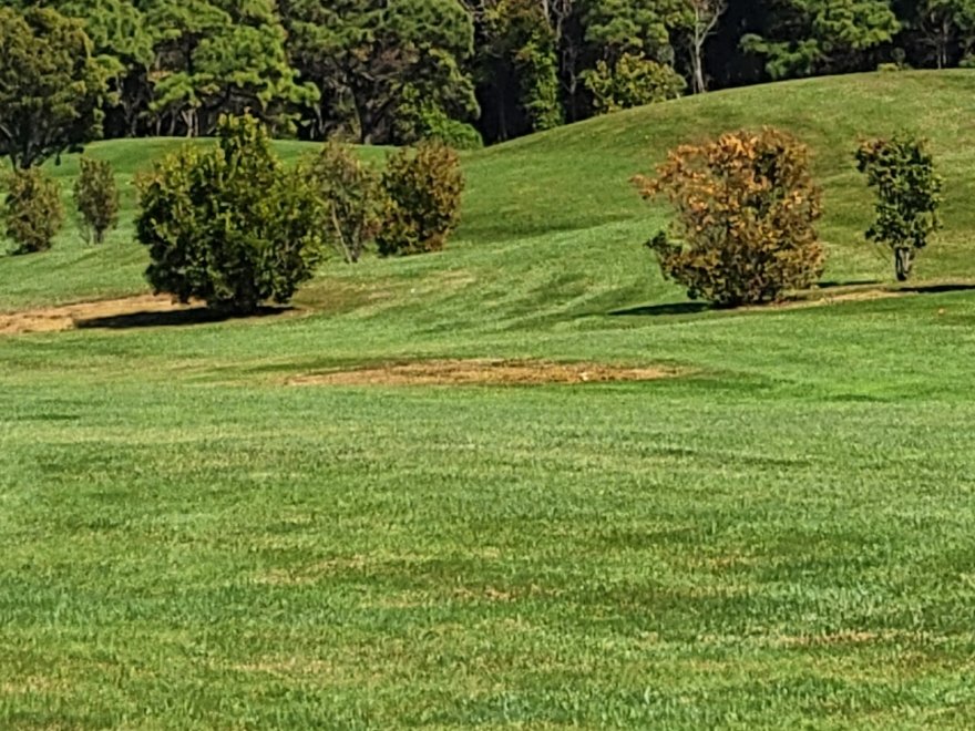 Rum Pointe Seaside Golf Links