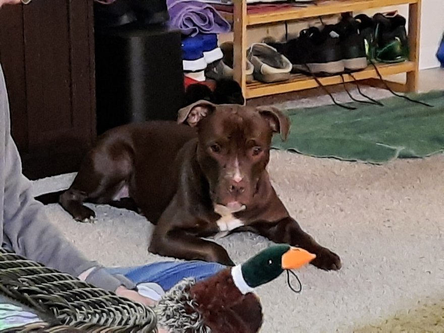 Worcester County Humane Society