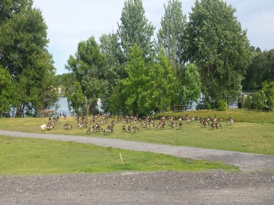 Veterans Memorial Park