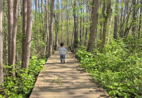 Lesser-Known Walking Trails of Maryland’s Coast